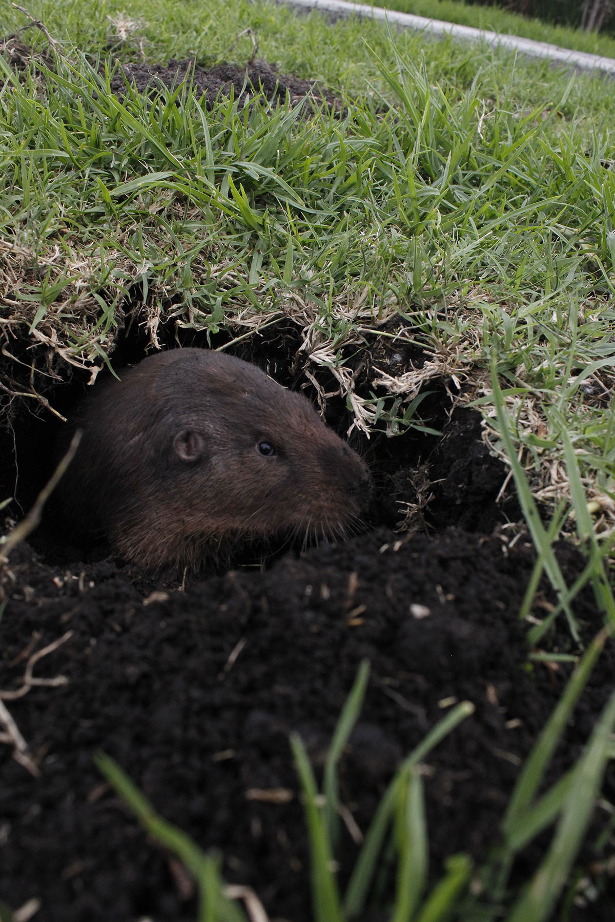 foto:Pam Posadas  - lo hecho en México