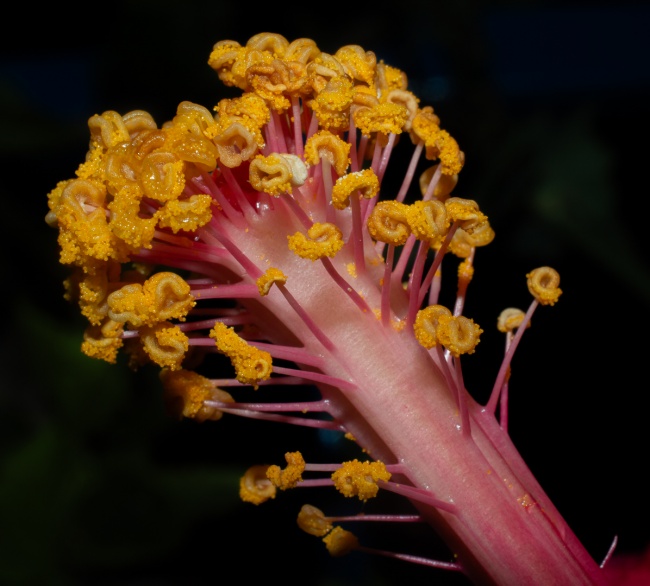 foto:ArmandoSoria González  - lo hecho en México