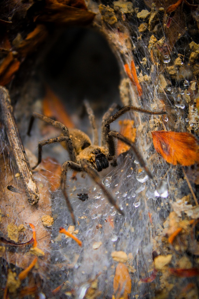 foto:Yarlet Calva González  - lo hecho en México