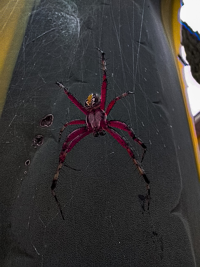 foto:Ricardo pazarán Carrasco  - lo hecho en México