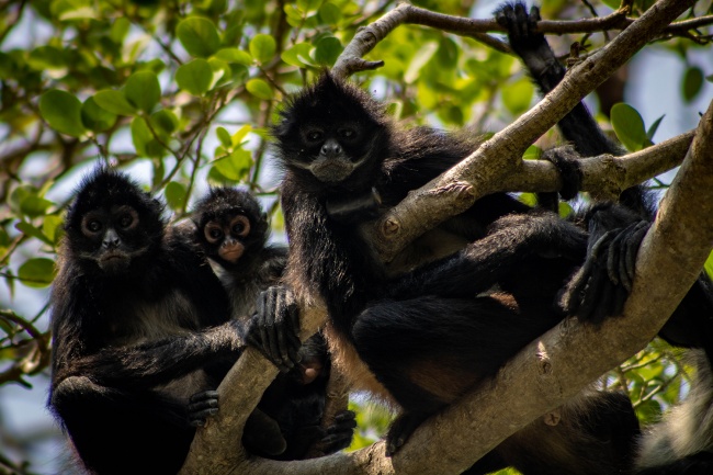 foto:David Eduardo González López  - lo hecho en México