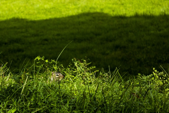 foto:Andres Octavio Avila Menendez  - lo hecho en México