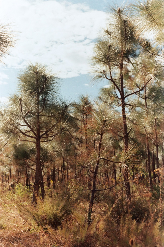 foto:Obed David Lara Bojórquez   - lo hecho en México