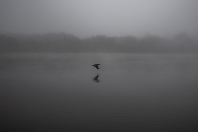 foto:Christopher Amaro  - lo hecho en México