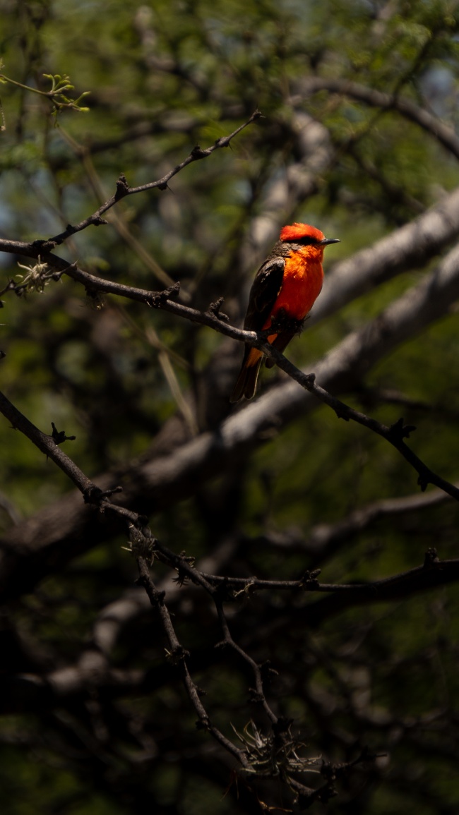 foto:Ana Karen Iglesias  - lo hecho en México