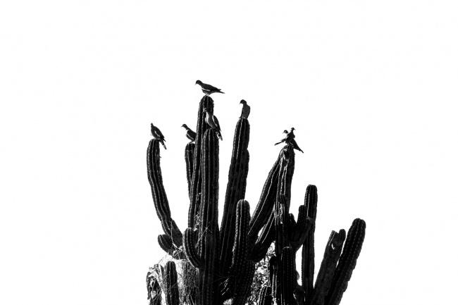 foto:José Luis León Leal  - lo hecho en México