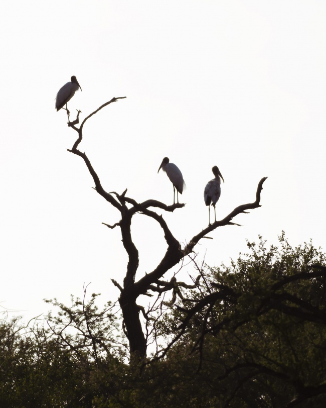 foto:Nadia Briseida Lozano González  - lo hecho en México