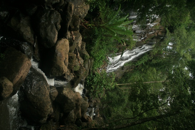 foto:Carlos Uriel Ruedas Rubio  - lo hecho en México