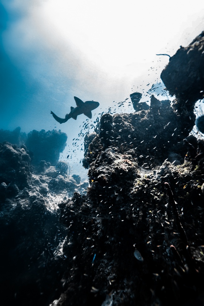 foto:Diego Alexander Coronel Rivera   - lo hecho en México