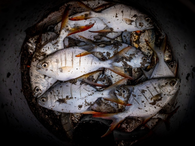 foto:claudia utrilla sanchez  - lo hecho en México