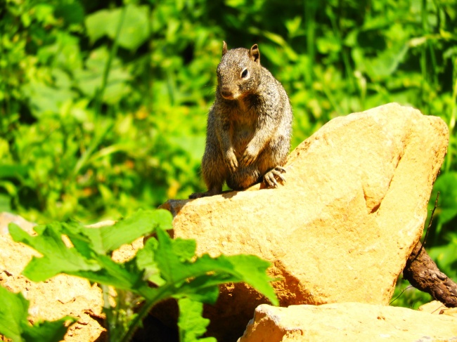 foto:Claudia Cristina Cinta Magallón  - lo hecho en México