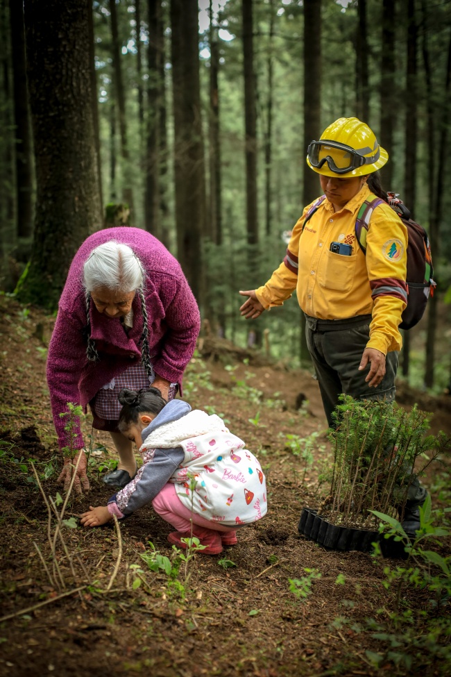 foto:Raúl Tagle Amaya   - lo hecho en México