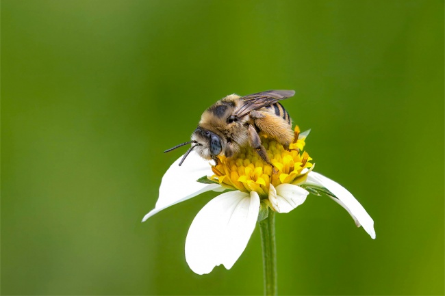 foto:Julio Rodolfo Rodríguez Sánchez  - lo hecho en México