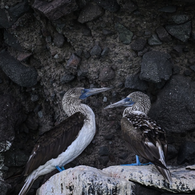 foto:ISAÍAS ROMERO ESCALONA  - lo hecho en México