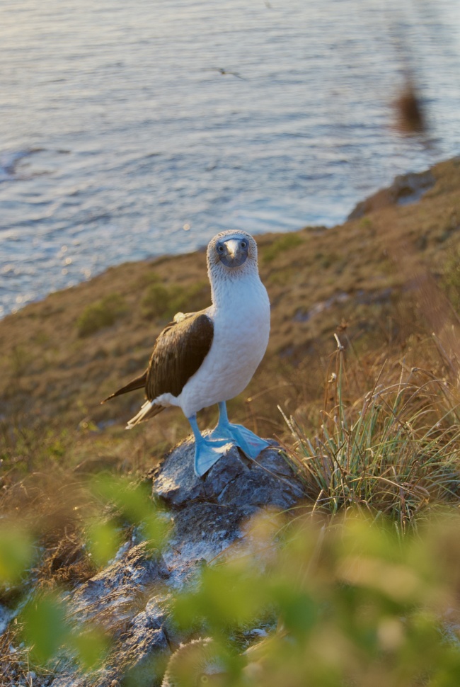 foto:Brayan David Vázquez Domínguez  - lo hecho en México