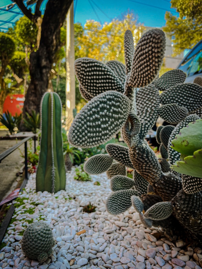 foto:Ricardo Régules Estrada  - lo hecho en México