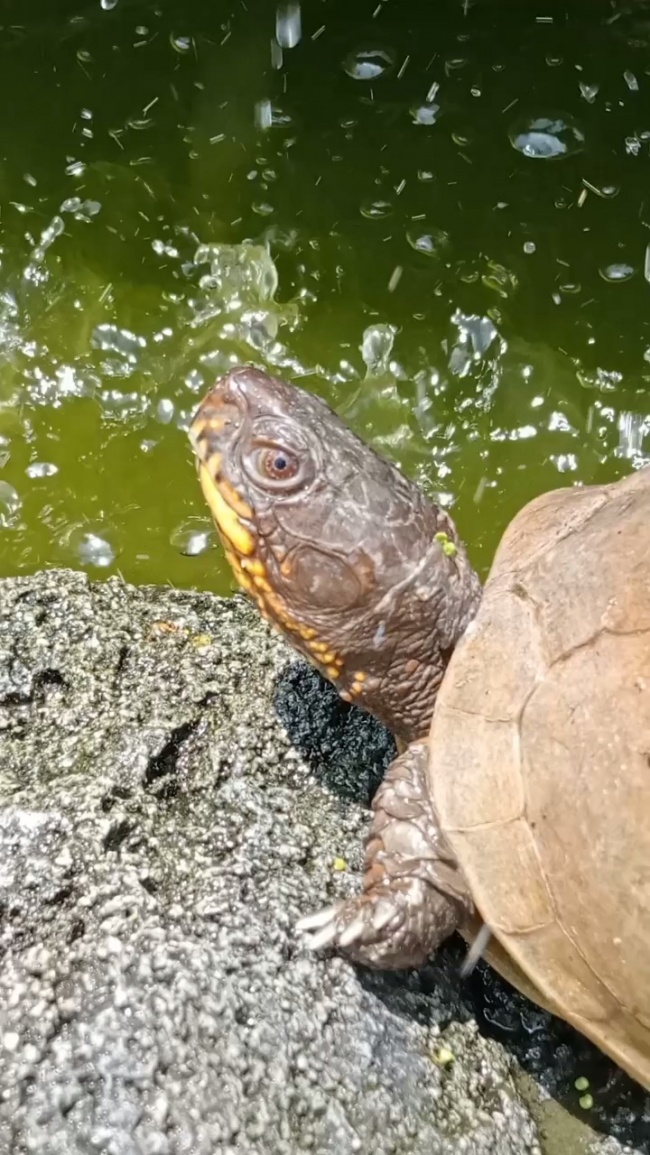 foto:Wendy Sanchez Rodriguez   - lo hecho en México