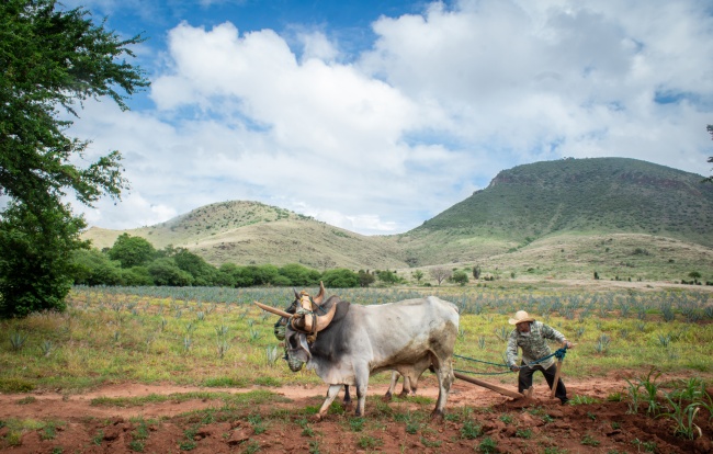 foto:Gabriel Galvan Santos  - lo hecho en México