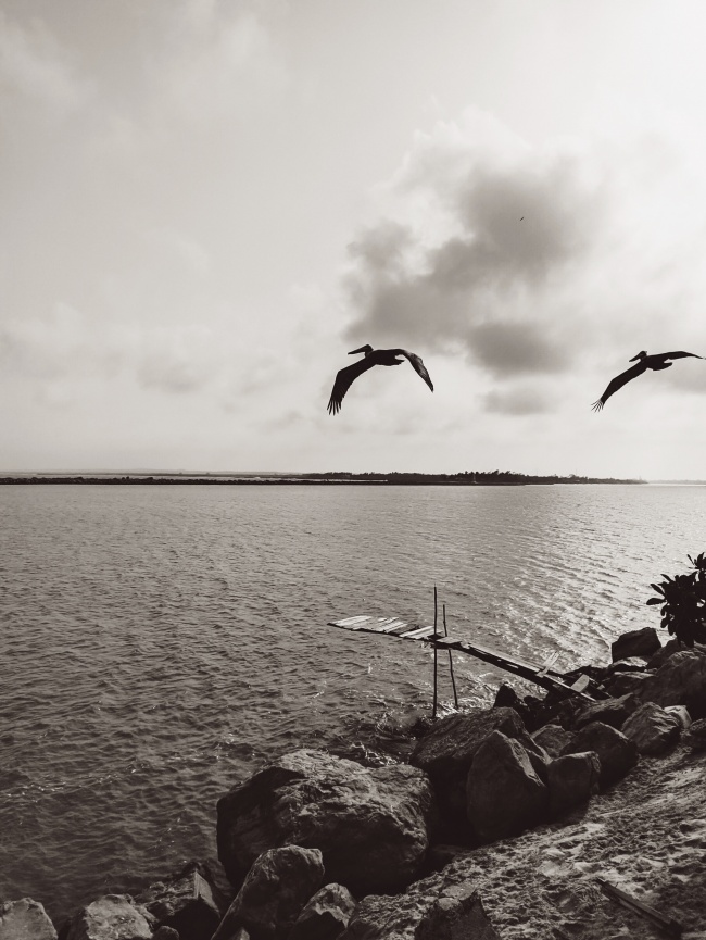 foto:Rodrigo Alonso Valdivia   - lo hecho en México