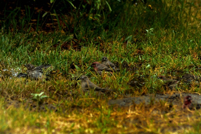 foto:Filiberto zaragoza calderon  - lo hecho en México