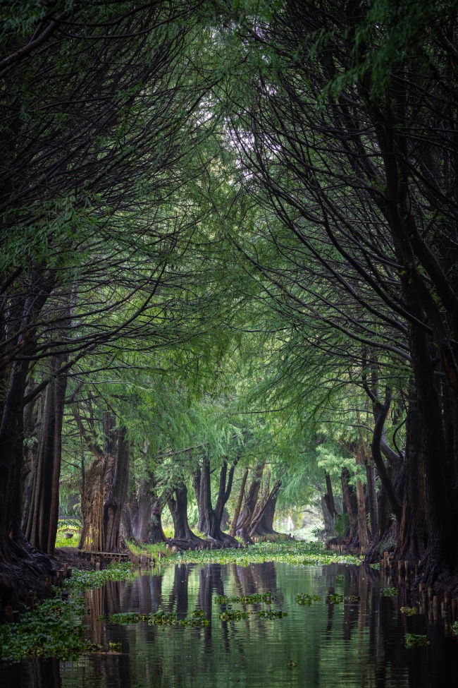 foto:Sofía Kinec Murillo Galván  - lo hecho en México