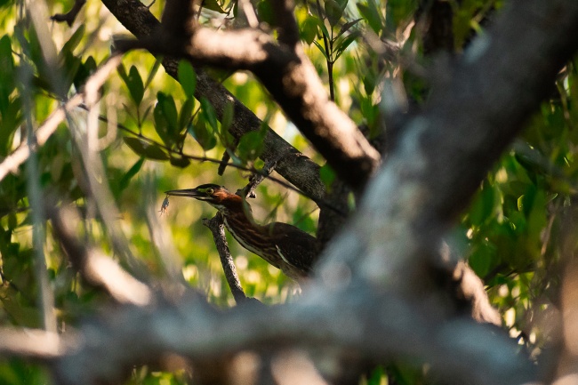 foto:Jorge Natanael Domínguez Sabido   - lo hecho en México