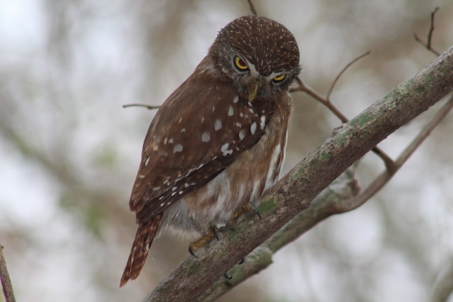 foto:Erick Abisai Gomez Poot  - lo hecho en México