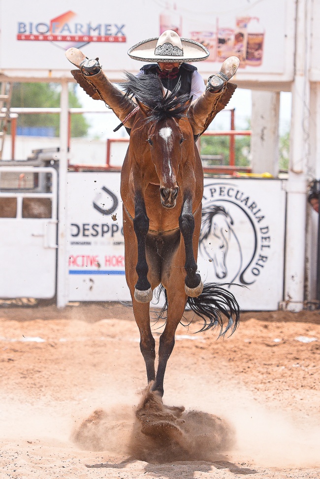 foto:AIDA LORENA DEL CARMEN GUTIERREZ GONZALEZ  - lo hecho en México