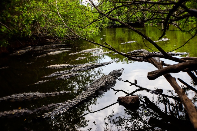 foto:Jaime Guillermo Bricio Barrios   - lo hecho en México