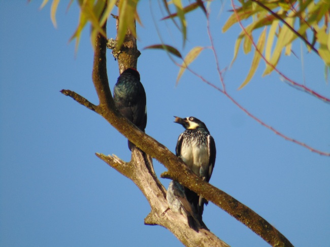 foto:Emilio Aguilar Luna   - lo hecho en México