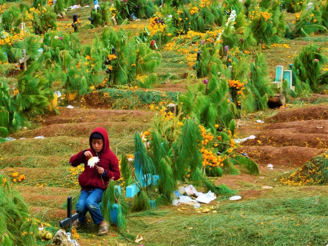 foto:Adolfo Alejandro Sarmiento Zenteno  - lo hecho en México