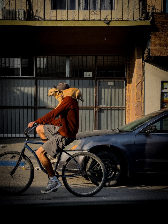 foto:Omar Alejandro Ruiz Cota  - lo hecho en México