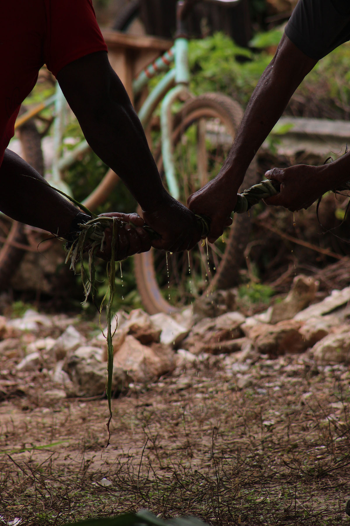 foto:Armando Rubén Chable May  - lo hecho en México