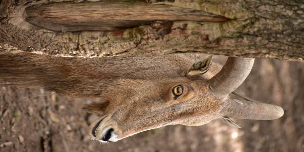 foto:jose luis  garcia lopez lopez - lo hecho en México