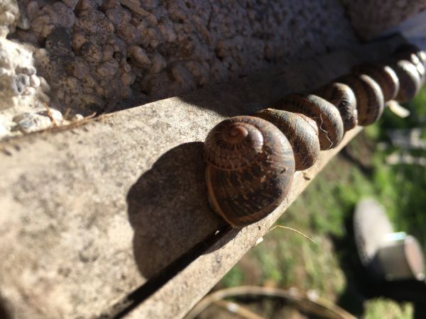 foto:Pamela Perez Figueroa - lo hecho en México