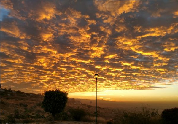 foto:Mariano Mendez Rivera  - lo hecho en México