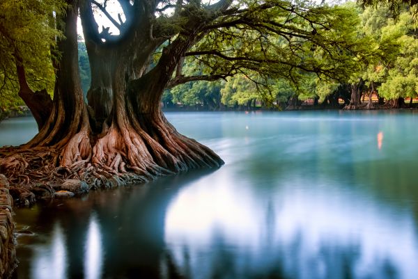 foto:Carlos Alfredo Salazar Guevara - lo hecho en México