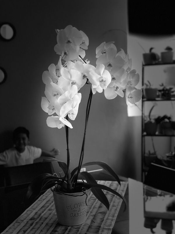 foto:Mariana  Vázquez  Patiño - lo hecho en México