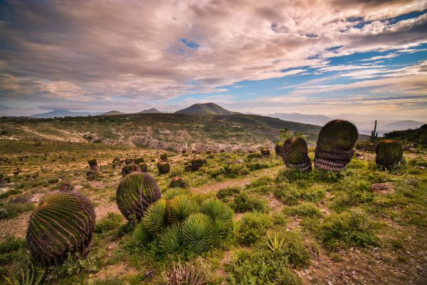 foto:David Cervantes Pacheco - lo hecho en México