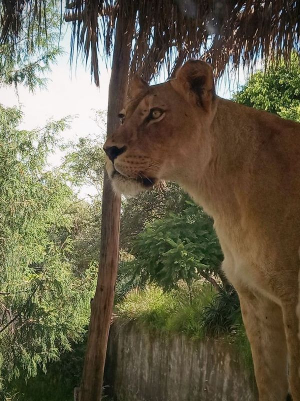 foto:Miriam Elizabeth Zetina Torres - lo hecho en México