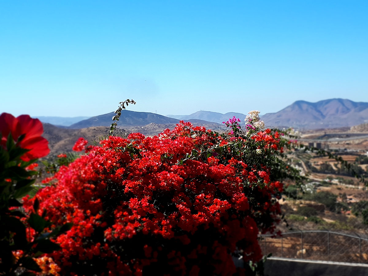 foto:Marcela Valdez Castro - lo hecho en México