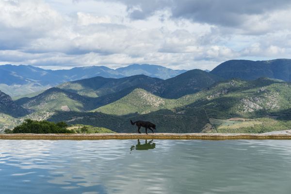 foto:Morten Krogh Aagaard - lo hecho en México