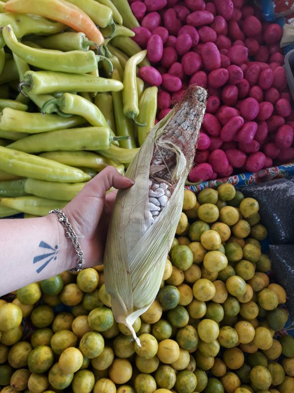 foto:Vianey Amador Amador - lo hecho en México