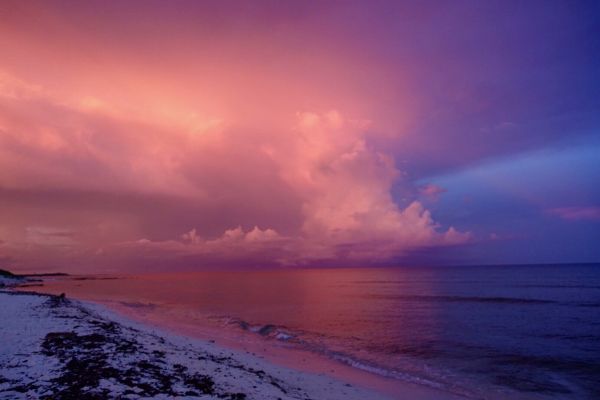 foto:Leticia Sarmiento Gabriel - lo hecho en México