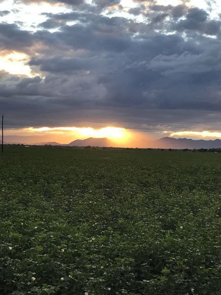 foto:Claudia Rodriguez Orejel - lo hecho en México
