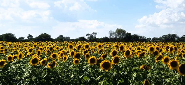 foto:Rodrigo Garcia Serrano - lo hecho en México