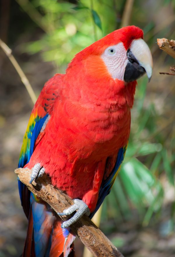 foto:Ana Georgina Cuan Rojas - lo hecho en México