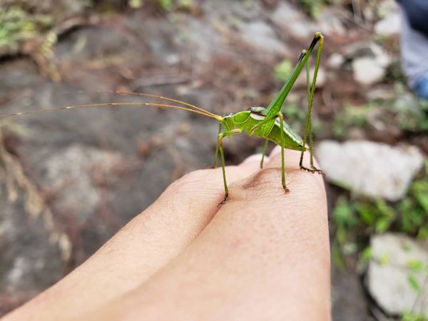 foto:Fernando Ileanov  Martínez  Chávez  - lo hecho en México