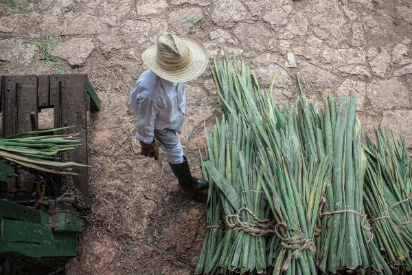 foto:cristobal  castro olivas - lo hecho en México