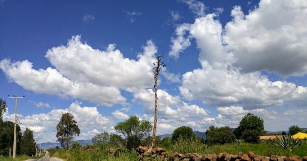 foto:Diana Ortiz Hernandez - lo hecho en México